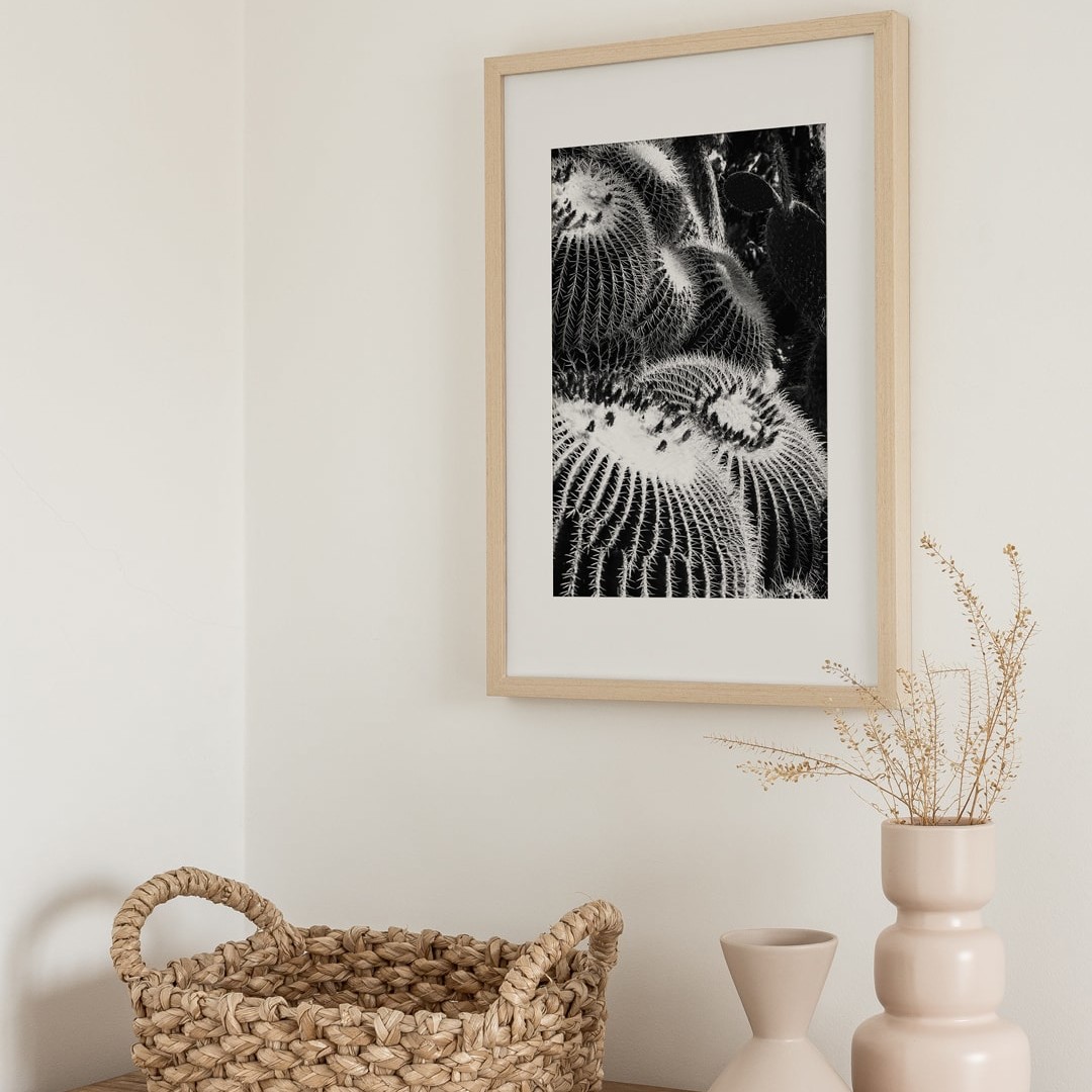 cactee-poster