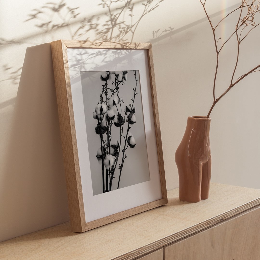 cotton-flower-poster