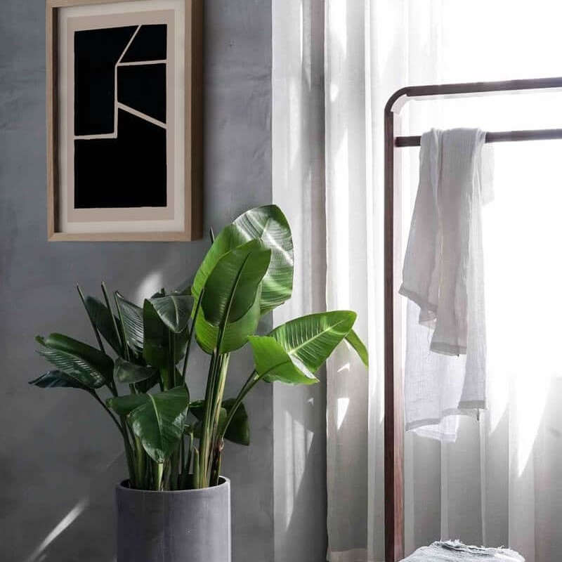 studio-collection-no11