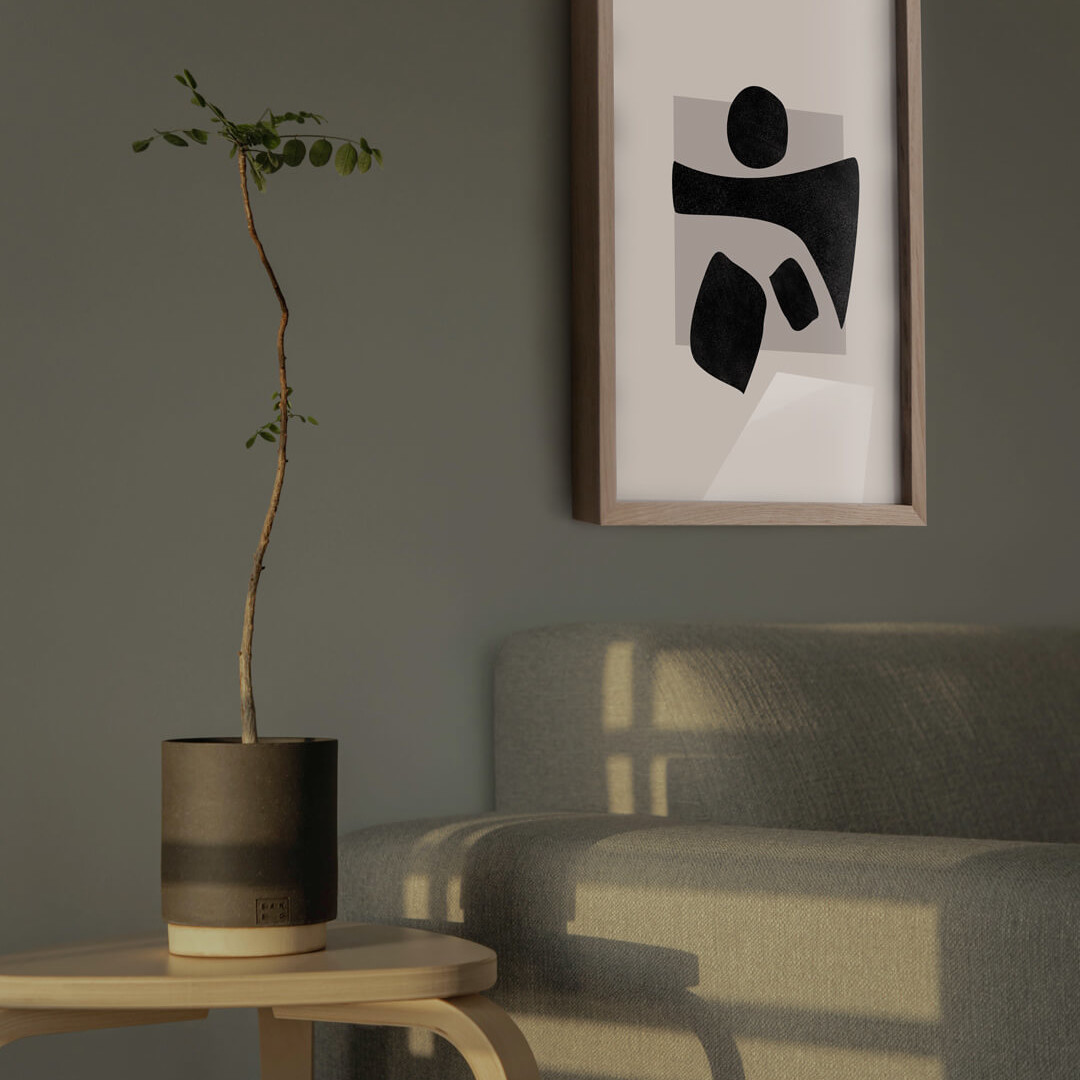 studio-collection-no3