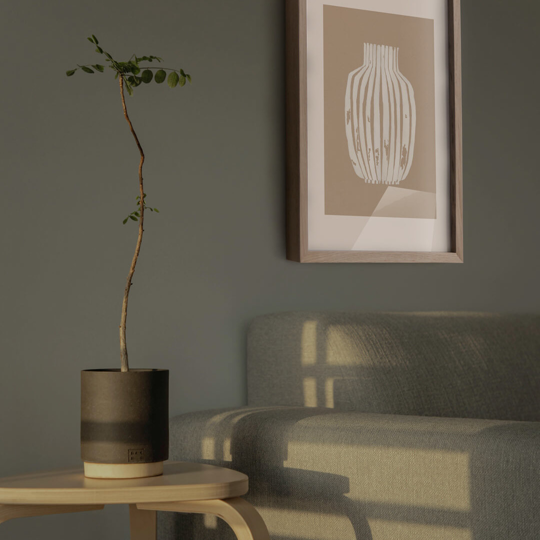 studio-collection-no5