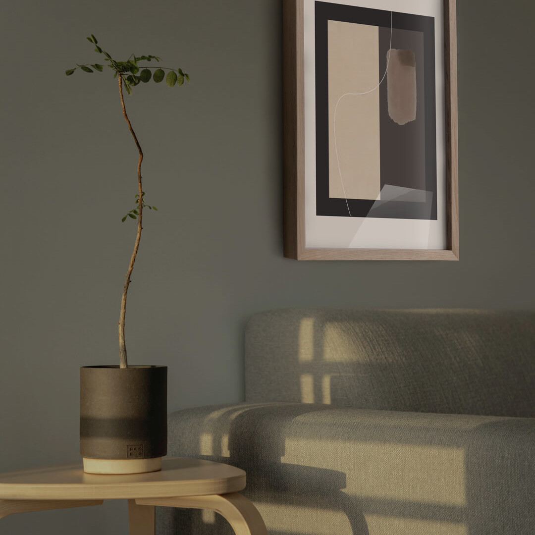 studio-collection-no9