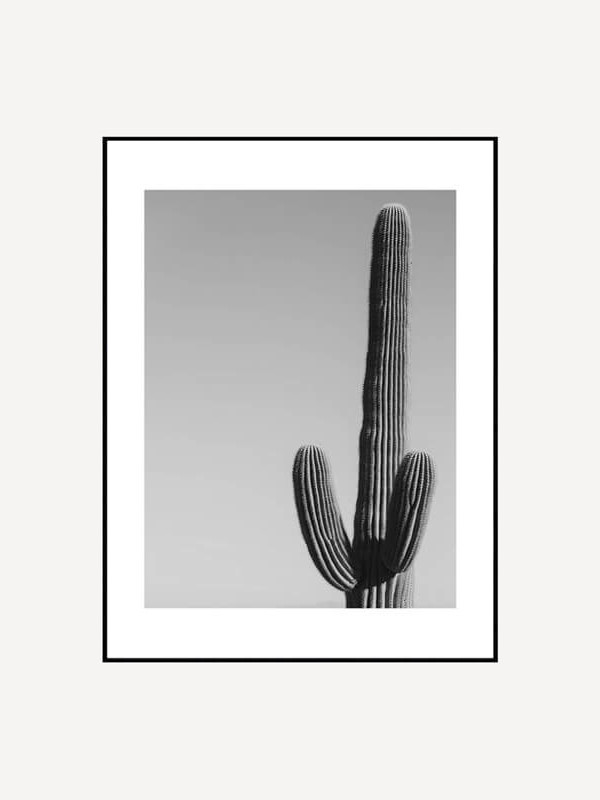 Lonely Desert Poster